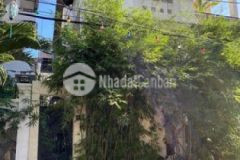 Cần bán biệt thự đường lê văn thọ 12x17m