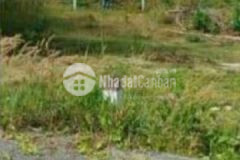 Ngộp bank bán rẻ đất 115m2 mặt tiền nhựa láng dài