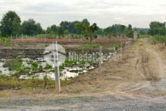 Bán 3002m2 đất vườn 2mt đường vườn thơm hbc