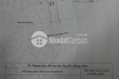 Bán đất mặt tiền đường y linh