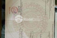 Bán 1589m2 full thổ mặt tiền nhua trần văn ngà