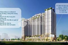 Căn hộ biển chí linh vị trí 2 mặt tiền vũng tàu