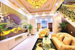 Bán nhà siêu sang trọng đường nguyễn văn tiếp