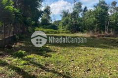 171 nguyễn thái bình