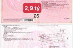 Bán đất an phú đông 12 sổ riêng 50m