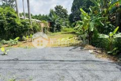 Bể nợ cần bán đất khu công nghiệp đồng phú