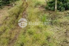 Đất 50m mặt tiền lớn knong năng đăk lắk