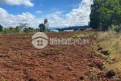 Đất diên phú 300 giá ngộp