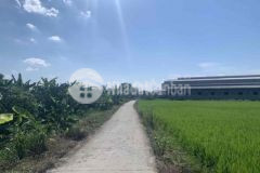 Bán đất thổ cư 2 mặt tiền tiền thích hợp phân lô