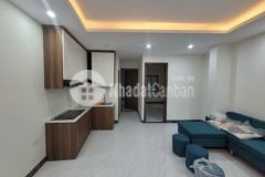 Chính chủ bán chung cư phố thượng đình 34 52m2