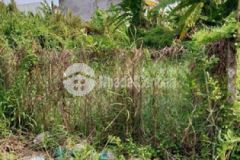 Chủ gửi nền hẻm 278 tầm vu q ninh kiều tp ct