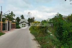 Chủ ngộp bán 1390m2 có 40m2 thổ cư giá 1ty950