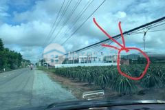 Nhà vườn 602m thổ ngay ubnd xã giá ngộp