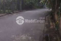 Nhà cần bán 200942210 ấp4 xã nhơn đức h nhà bè