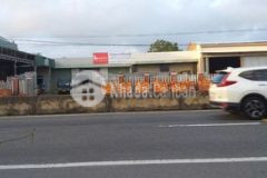 Bán đất trồng cây lâu năm mặt tiền quốc lộ 1a