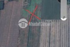 3 050 thổ 4 900l mt n2 nhơn ninh tân thạnh la