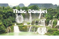 Cần chuyển nhượng homestay green valley bảo lộc