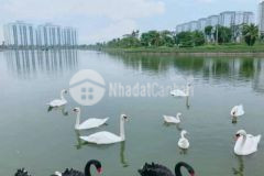 Gia đình ban căn hộ 72m đủ nôi thât chỉ 1 tỷ 09