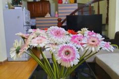 Đất thanh đàm 44m x cấp 4 giá 2 2 tỷ