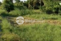 Ngộp bán gấp 4600m2 có 545m2 tc cách tân trụ 2 5km