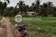 Bán 2 nền rộng mà rẻ dành cho nhà đầu tư vị thanh