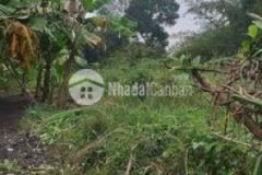 Chủ ngộp bán gấp 2718m2 có 700m2 tc giá đầu tư