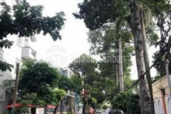 Lô góc 2 mt kdc đường tú xương sau trường tiểu học