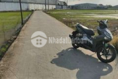 Đất thổ shr ở tân trụ