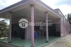 Vườn dừa bưởi 4809m² long định