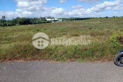 Chính chủ cần bán lô đất 1000m sẵn thổ cư 100m giá 2.5 triệu đồng m2