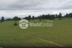 Đất rẻ tại hồng liêm, gần đường liên huyện nối sân bay, cao tốc và safari