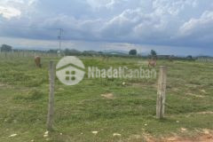 Bán lô đất trồng tràm 1200m2 xã hồng liêm, giá chỉ hơn 312 triệu, sổ hồng riêng.