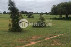 Bán lô đất 3000m2 ngay gần đường nhựa nối sân bay safari vào thị trấn