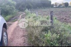 Bán đất trồng bạch đàn hàm thuận bắc, đường ô tô cách ql1a 600m chỉ 312tr lh 0938677909 xem sổ