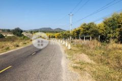 Đất giáp biển hoà phú đất chủ ngộp cần bán gấp