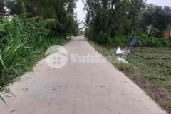 Bán 1 2công đất long hoà a long định châu thành tg