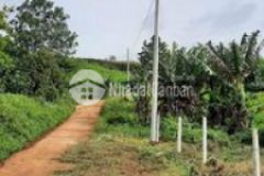 13 9 37m hẻm beton5m bảo lâm lâm đồng giá 1 3 tỉ