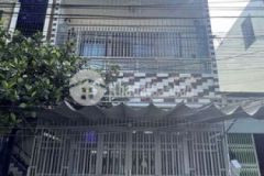 Tin nổi bật trần khát chân sơn trà mân thái