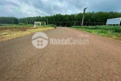 Hàng tốt hàng đẹp giá rẻ lô đất thổ cư đường 32m