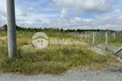 Hàng ngon mỹ phú thủ thừa