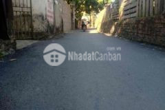 Lô góc đấu giá hà đông mat đường 14m