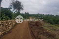 2400m2 vỡ nợ cần cắt lỗ bán gấp tp bảo lộc 1 7 tỉ