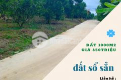 Cần bán lô đất 1000m2 cách trung tâm thị trấn 5km, giá 650 triệu