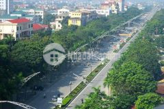 Còn vài lô ở thạch thành, thành mỹ, thanh hoá.