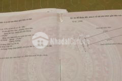 135m2 đất đức thắng, đồ sơn, hải phòng tiếp tục giảm hơn trăm triệu