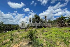 Bán 1500m2 đất 40m mặt đường liên xã hòa nam, di linh, lâm đồng, nở hậu, 3 tỷ.