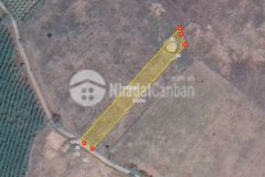 310 triệu sở hữu ngay lô đất 1200m2 trồng sẵn bạch đàn, sổ hồng riêng