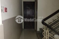 Căn hộ dịch vụ dòng tiền khoán 50trth mặt tiền đường số 110m2 5 tầng f.bình thuận quận 7.lh 0972998