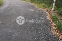 3công đất mặt tiền huyện lộ 38,tam hiệp,châu thành,tiền giang