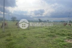 Bán lô đất 1442m2 giá rẻ tận đáy, gần khu du lịch safari hồng liêm, shr